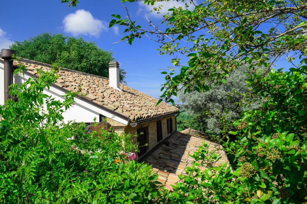 Barbagianni Vila Senigália Exterior foto