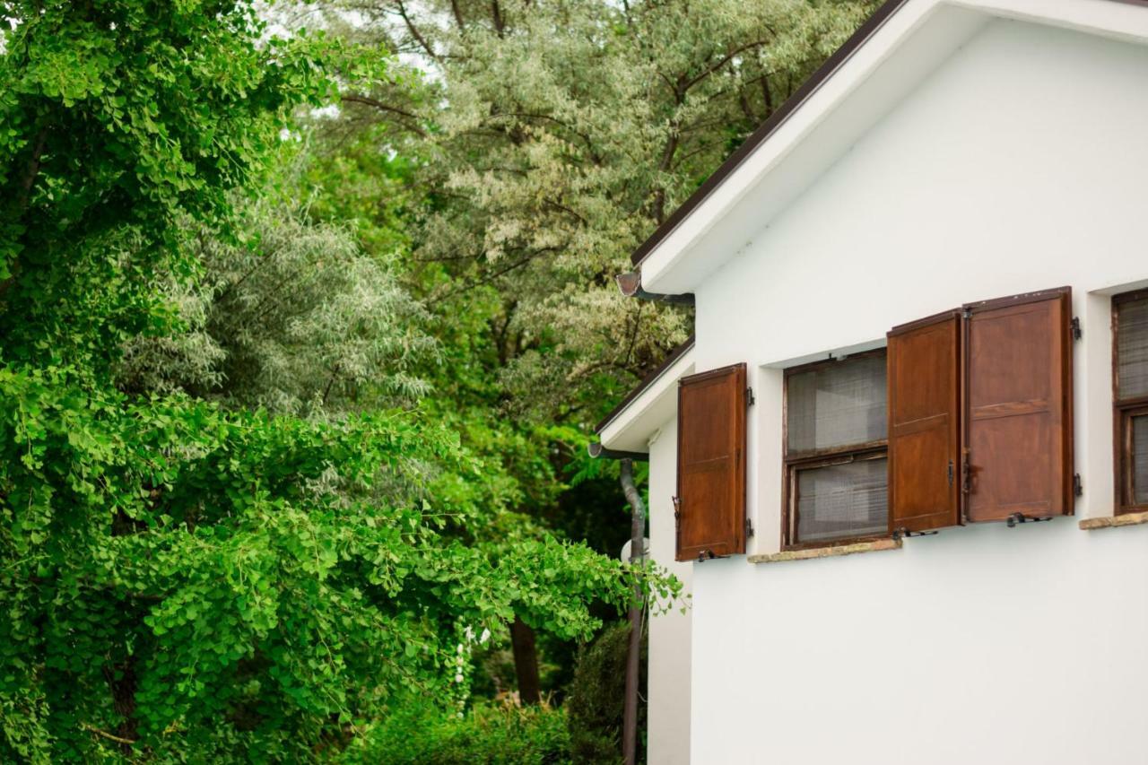 Barbagianni Vila Senigália Exterior foto